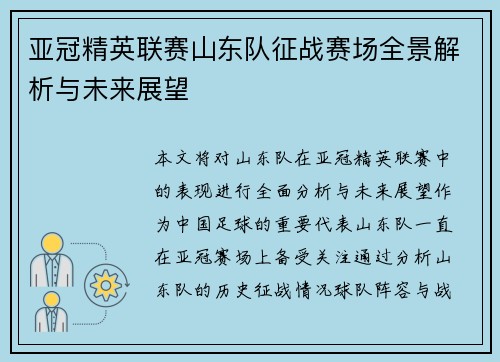 亚冠精英联赛山东队征战赛场全景解析与未来展望